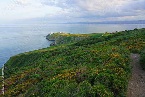 Canvas Print View of green heather fields, the Baily Lighthouse and the Irish Sea seen from t