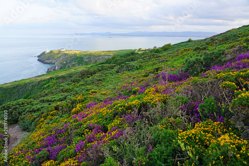Photography View of green heather fields, the Baily Lighthouse and the Irish Sea seen from t