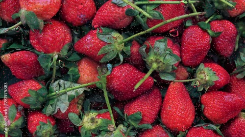 Realistic rain drops on glass window with strawberries put on background., 4K video.