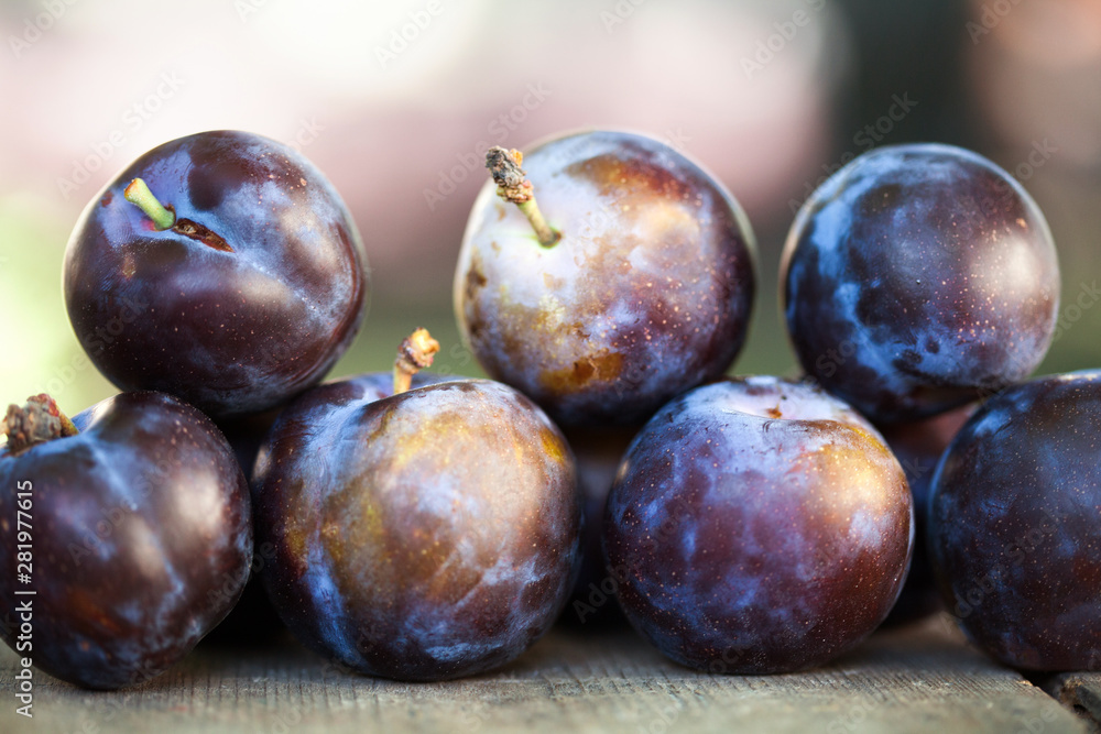 Macro view natural organic blue plums on wooden table. Farmers fruits still life photography, selective focus beautiful bokeh