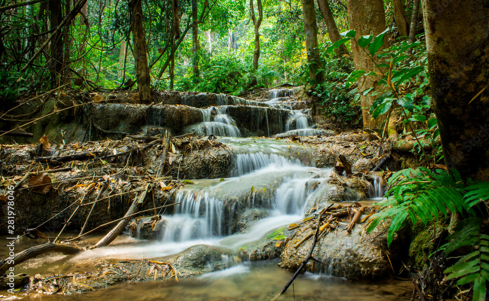 Fototapeta premium waterfall in the forest