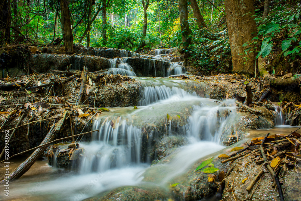 Fototapeta premium waterfall in the forest
