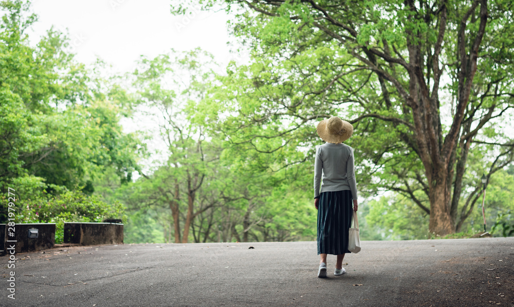 woman take a walk on the way under the trees woman take a walk on the way under the trees