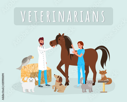 Veterinarians work flat vector illustration. Male, female vets, doctors examining horse, stallion cartoon characters. Veterinary clinic, hospital workers treating cats, dogs, checking animals health