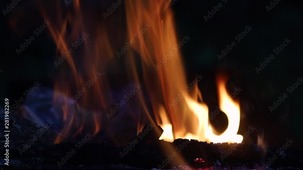 Burning fire. Bonfire. Close-up of a burning flame on a black background. Burning fire. Bonfire. Close-up of a burning flame on a black background.