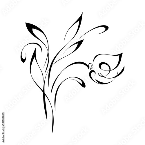 decorative abstract flower on a stem with curls in black lines on a white background