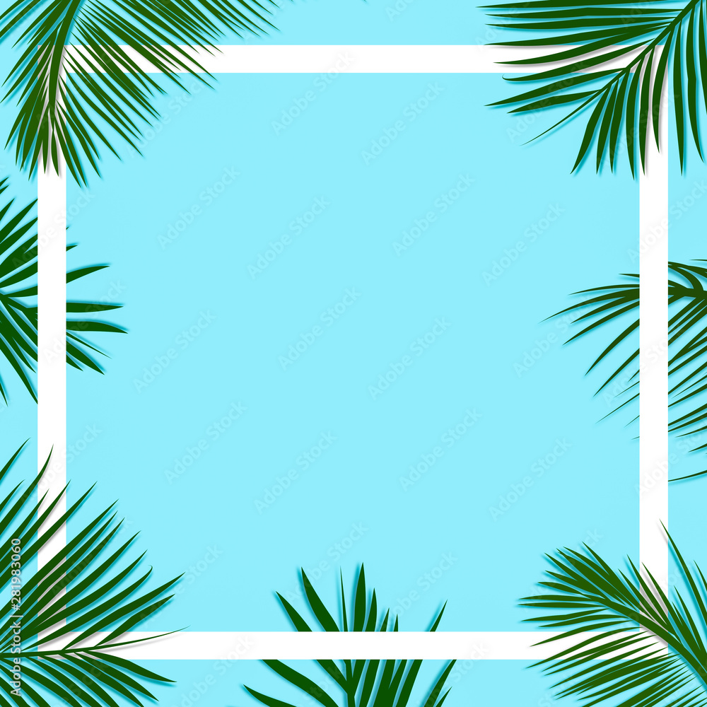 Palm leaves decorated on a soft pastel blue color background