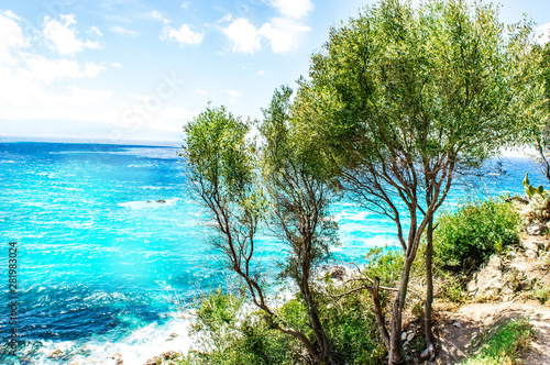  blue sea with trees - Italia 