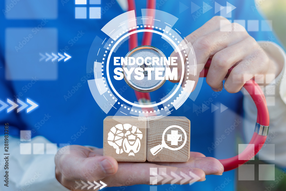 Endocrine System Human Medicine concept. Hormonal balance health ...