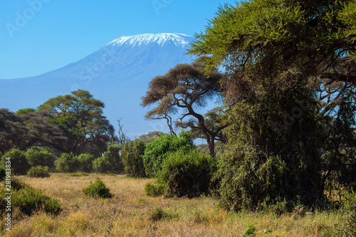 Impressive travel to Amboseli Park