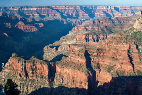 Grand Canyon view from Bright Angel Point Trail, North Rim in summer in early morning light. photo