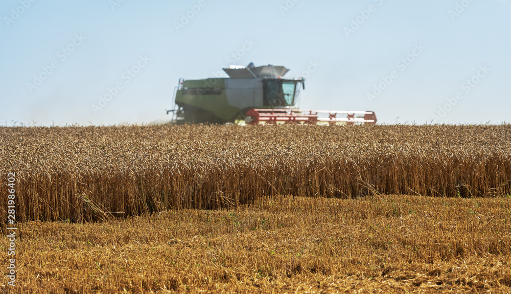 Harvester machine to harvest wheat field working. Harvester machine to harvest wheat field working.