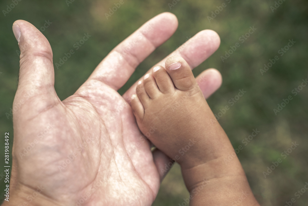 A close up of bare skin chubby leg, foot and toes of a mixed race baby boy infant on his fathers outstretched open hand with palm facing up and blurred bokeh grass in the background. A close up of bare skin chubby leg, foot and toes of a mixed race baby boy infant on his fathers outstretched open hand with palm facing up and blurred bokeh grass in the background.