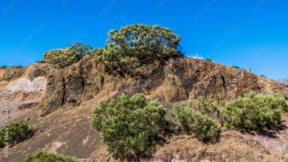 Fototapeta premium Green vegetation on a rocky slope