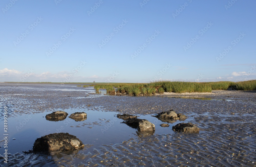 mudflat with stones and water and grass with low tide along river scheldt and a blue sky in winter mudflat with stones and water and grass with low tide along river scheldt and a blue sky in winter