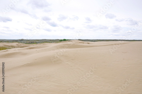 Great Sandhills in southwest Saskatchewan, Canada 