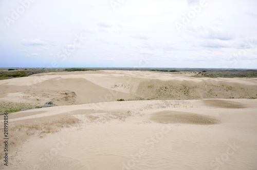 Great Sandhills in southwest Saskatchewan, Canada 