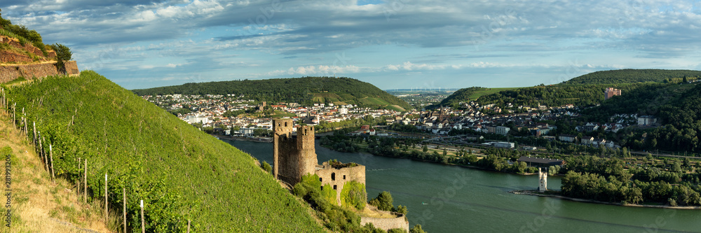 Panorama of castle Ehrenfels