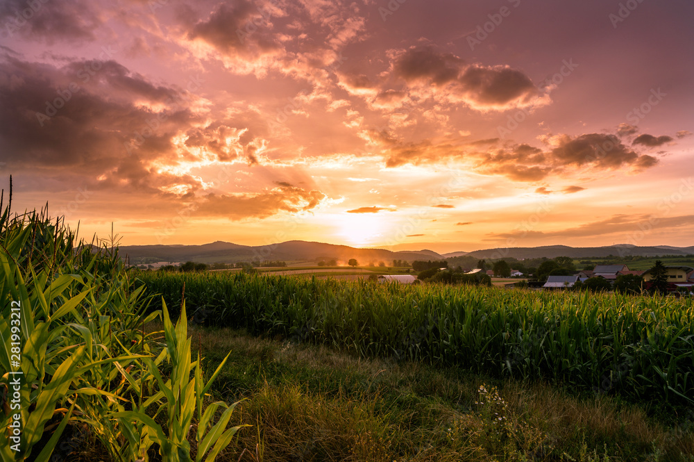 Sonnenuntergang an der südlichen Weinstraße Sonnenuntergang an der südlichen Weinstraße