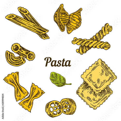 Set of different types of pasta and basil leaf. Color. Engraving style. Vector illustration.