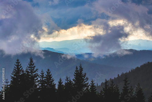 Thick clouds hang over the trees in the mountains. Mountains covered with clouds_