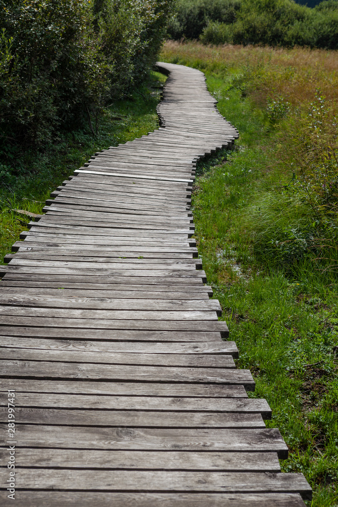sentiero di legno attorno allo stagno
