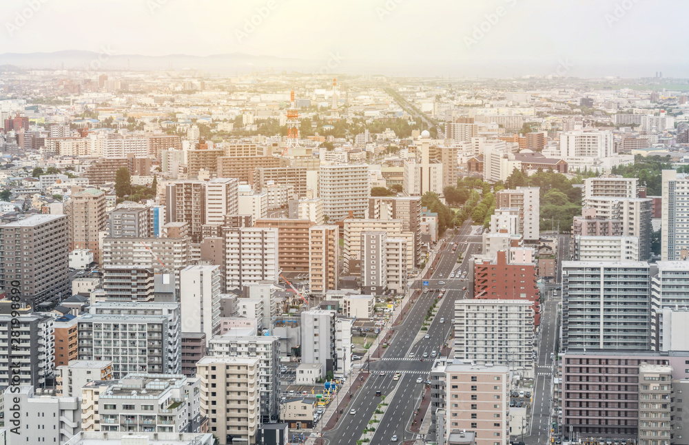 Fototapeta premium city skyline aerial view of Sendai in Japan