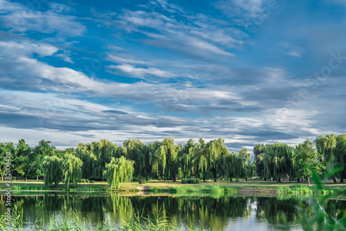 Fototapeta Naklejka Na Ścianę i Meble -  Summer landscape by the river