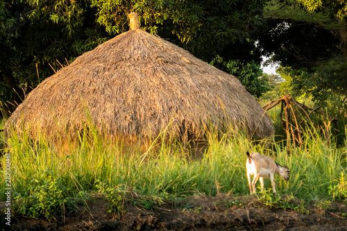 African mud House