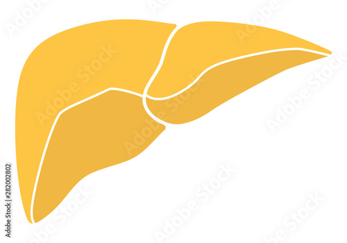 Human internal organs: liver. Vector image. Flat design