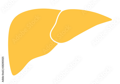 Human internal organs: liver. Vector image. Flat design