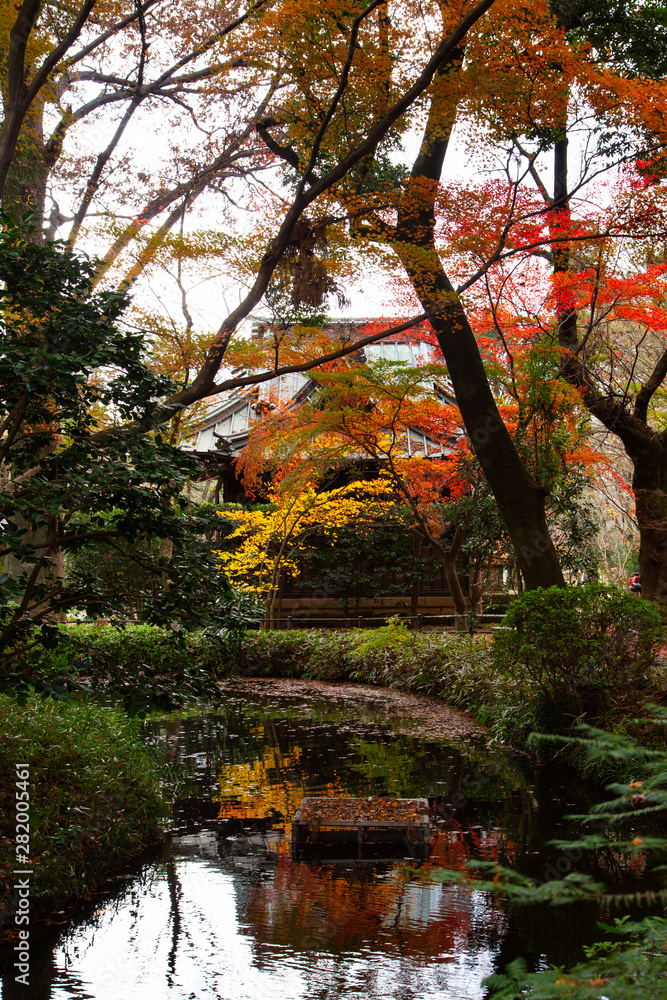 Autumn leaves in Heirinji temple precincts forest
