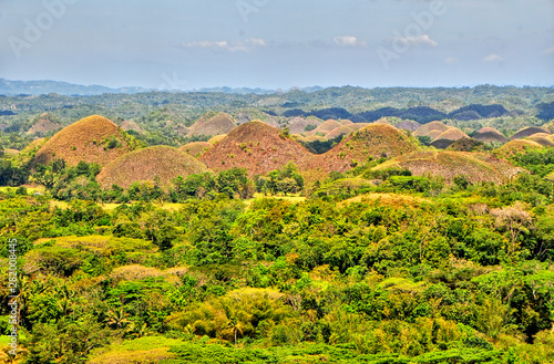 The Chocolate Hills - geological formation in the Bohol province of the Philippines.