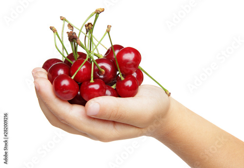Handful of cherries in hand on white background © VitCOM