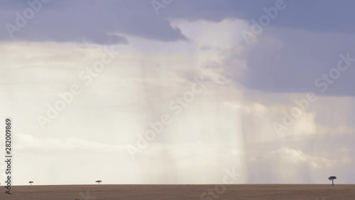 Rain clouds and lonely trees in beautiful landscapes in Maasai Mara triangle