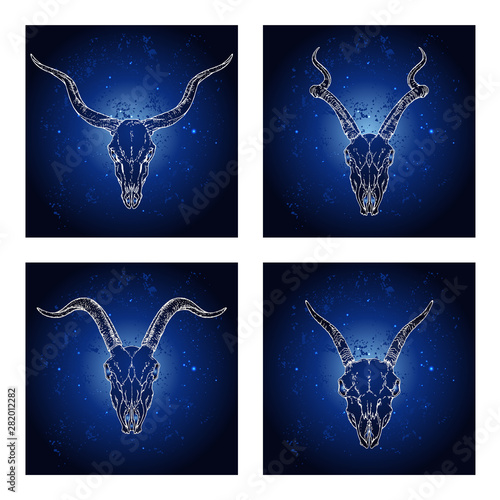 Vector set of four illustrations with hand drawn skulls antelopes and goats.