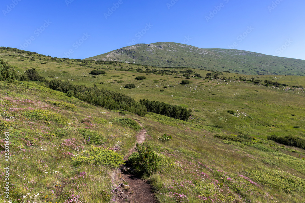 landscape from hiking trail to Belmeken Peak, Rila mountain
