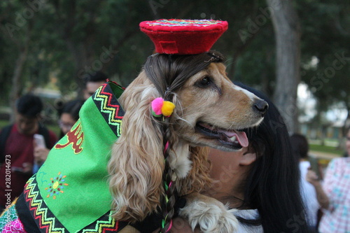 Disfraz de perro