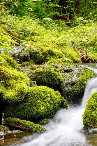 Waterfall in the forest