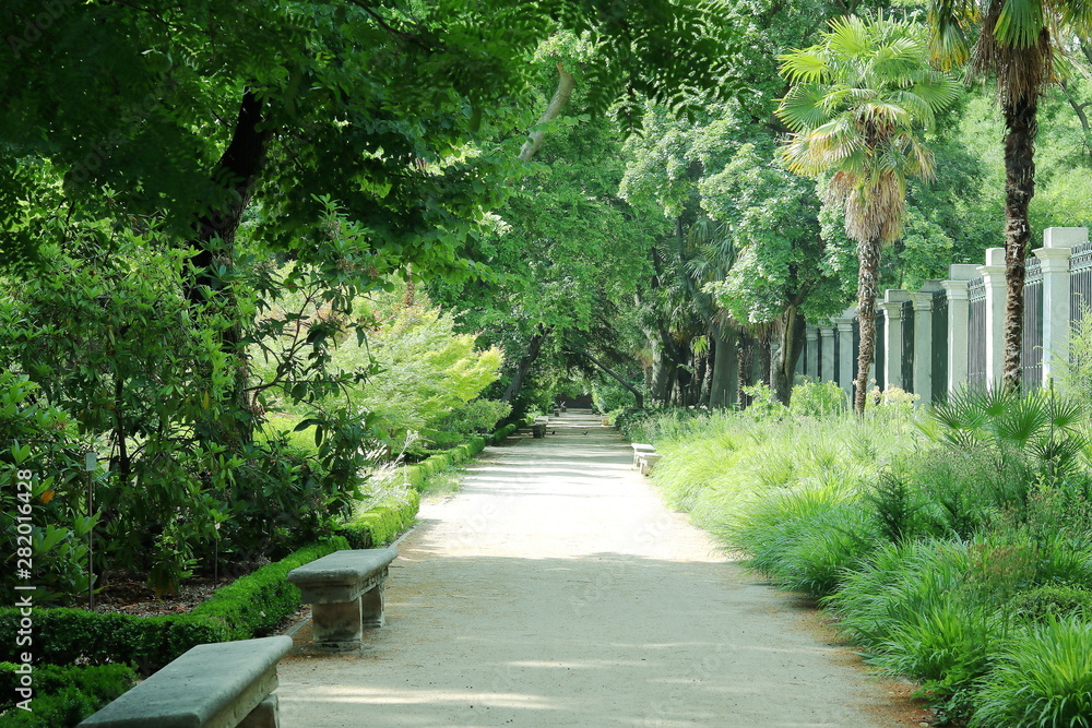 CAMINO EN EL PARQUE BOTÁNICO RODEADO DE PLANTAS Y ÁRBOLES, bosque, camino, follaje, campo, árbol, naturaleza, verde, verano, paisaje, césped, huerta, campestre CAMINO EN EL PARQUE BOTÁNICO RODEADO DE PLANTAS Y ÁRBOLES, bosque, camino, follaje, campo, árbol, naturaleza, verde, verano, paisaje, césped, huerta, campestre