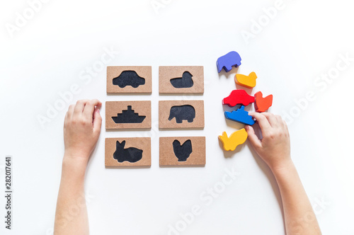 Sorting montessori training. Objects and forms for games photo