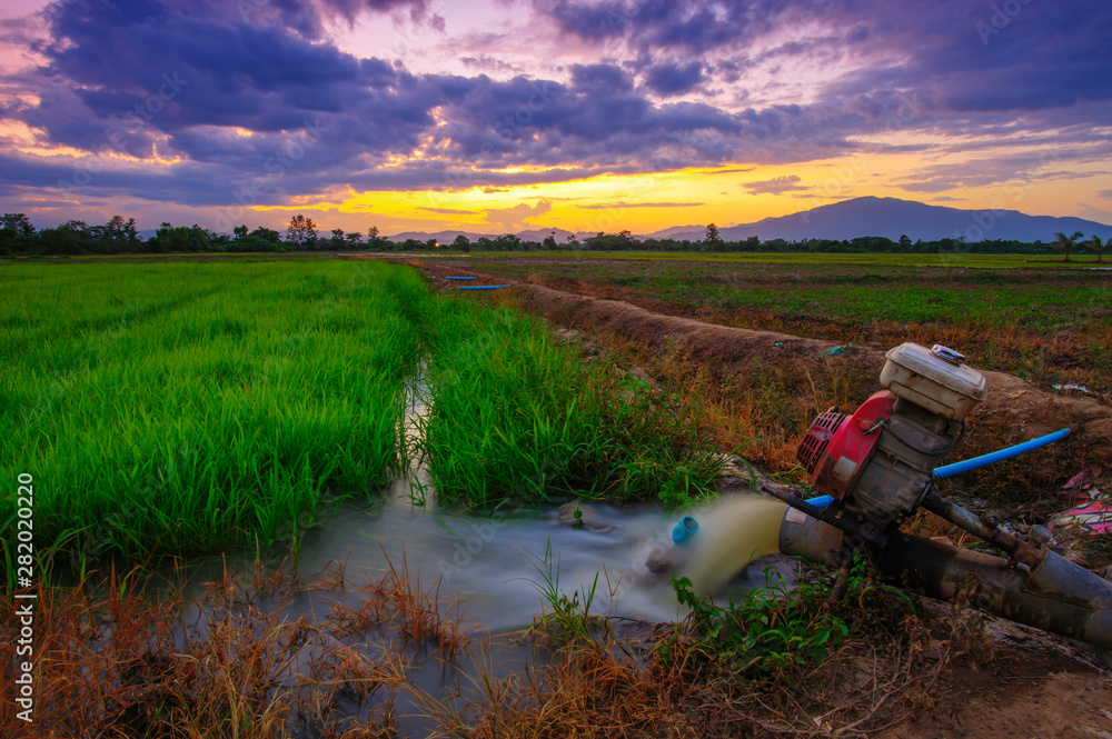 Φωτογραφία Beautiful rice field landscape of farmers in rural Chiang Mai, Thailand in the e