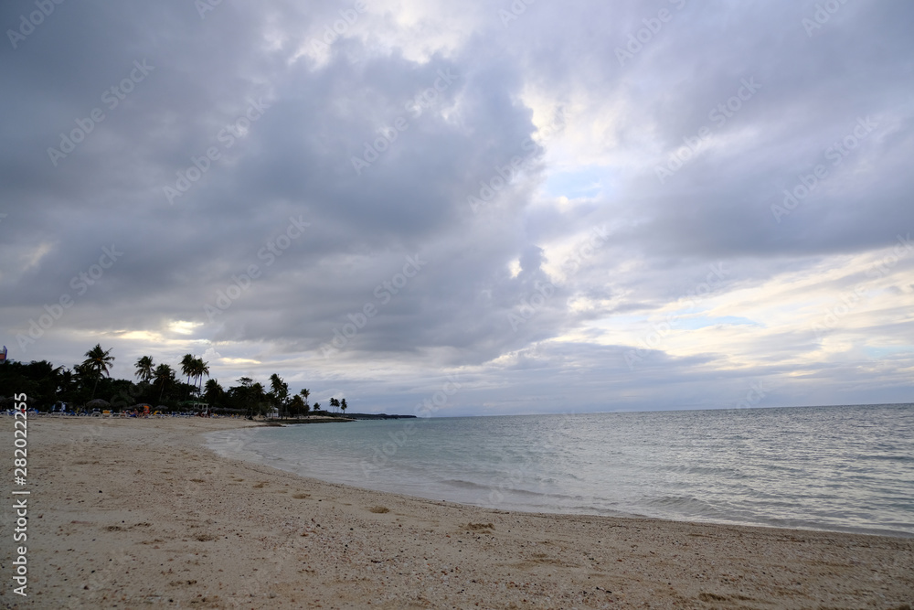 Sandy beach and ocean with trees and cloudy sky on the background