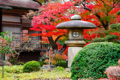 Photography Koishikawa Korakuen garden
