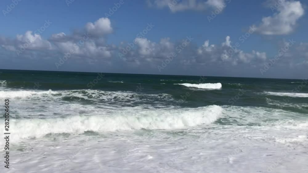 rolling crashing waves on a sandy shore with coconut trees rolling crashing waves on a sandy shore with coconut trees