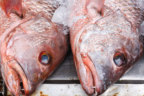 Red snapper fish heads