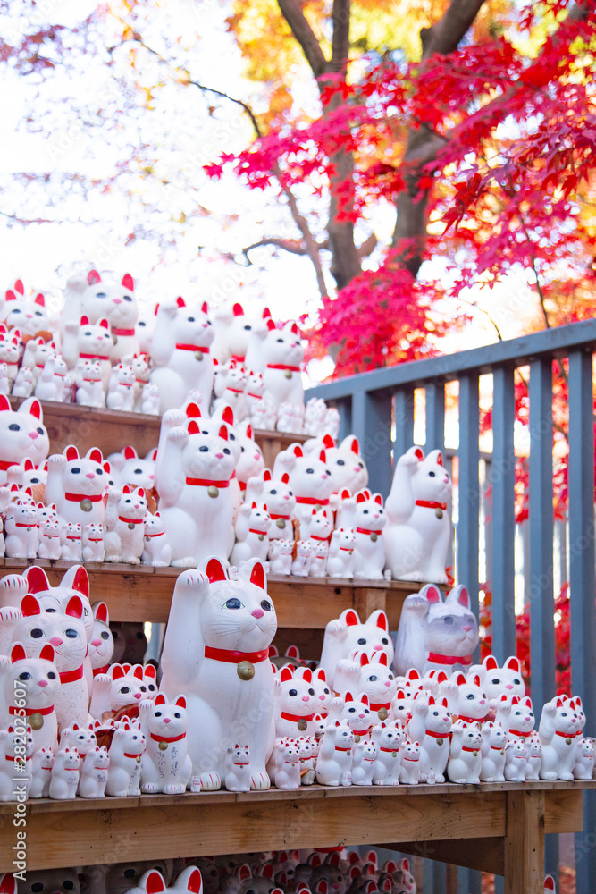 Landscape of Gotokuji temple's autumn leaves