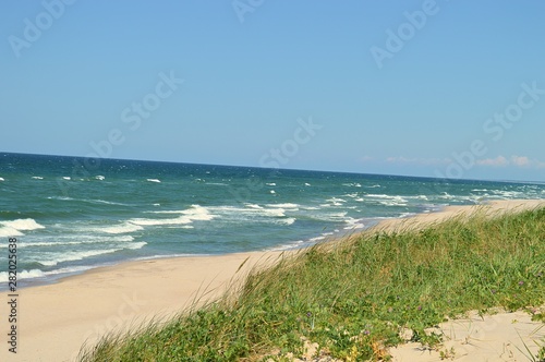 Russia  Kaliningrad region   Curonian spit . Baltic sea.