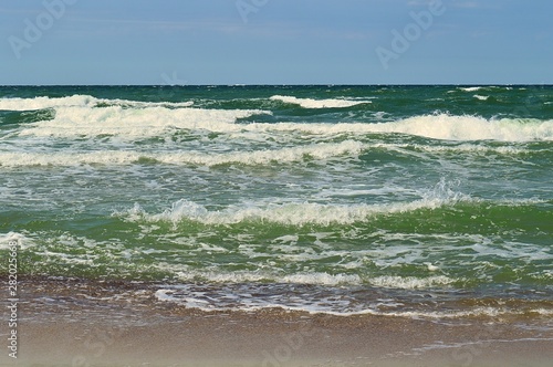 Russia, Kaliningrad region, "Curonian spit". Baltic sea.