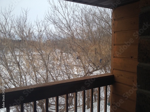 view from the window